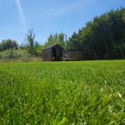 Top Kosewko Top Kosewko