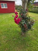 Top Saint-Riquier-ès-Plains