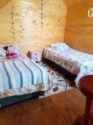 Top Chillán