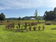 Top Kowary Top Kowary