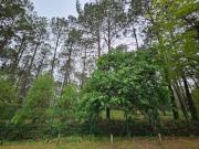 Vacances au bassin dArcachon