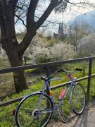 Top Olsztyn Top Olsztyn