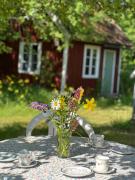 Top Vissefjärda