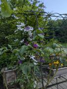 Domaine du KleinHammer