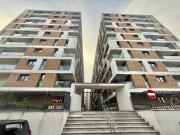 Butterfly Politehnica