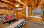Top Sevierville