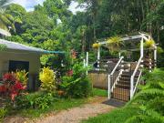 Top Cape Tribulation