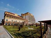 Top Fengcheng Top Fengcheng