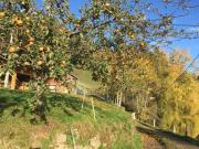 Top Sainte-Croix-aux-Mines