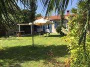 Top Forte dei Marmi