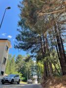 Top Camigliatello Silano