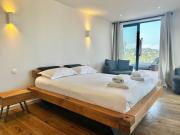 Modern villa with pool