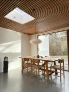 Lines Near Forest And Water