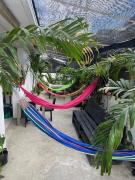 Top Cartagena de Indias