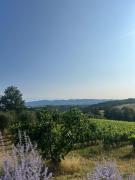 Top Soriano nel Cimino