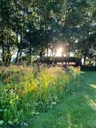 Tiny House By Bjerregrav Marsh And Nature