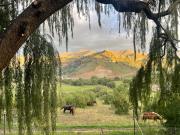 Old Mill Drift Guest Farm