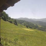 Top Plav