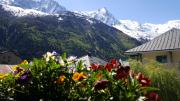 Top Chamonix-Mont-Blanc