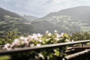 Top Kaltenbach