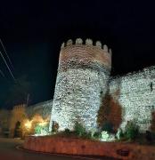 Sighnaghi Hotel Fence Door&Сигнахи Отель Ворота Крепости&სიღნაღი სასტუმრო გალავნის კარი