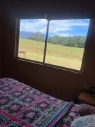 Top Puerto Clocker Top Puerto Clocker