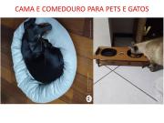 Top Feira de Santana