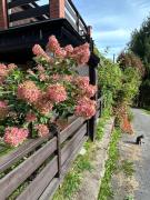 Top Czarnów Top Czarnów