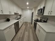 New 1-bedroom basement apartment
