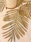 Top Brisas de Zicatela