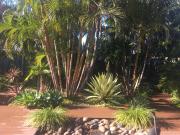 Tranquility Near The Lake