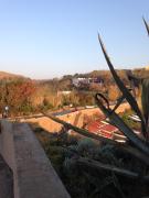 Top Ventotene