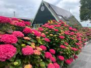 Vakantiehuis Het Uilennest