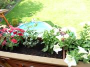 Top Liptovský Mikuláš