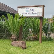 St Lucia Ocean View Lodge