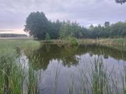 Top Skrzynka Top Skrzynka