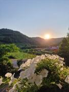 Top San Giovanni Ilarione