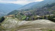 Top Longsheng