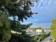 Top Gdynia