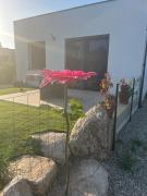 Top Prunelli-di-Fiumorbo