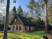 Forest house with sauna