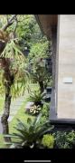 Top Ubud