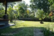 Top Ubud