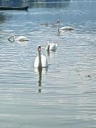 Kuća-Zvorničko jezero