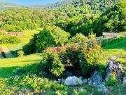 Top Kostanjevica na Krki