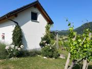 Top Kostanjevica na Krki