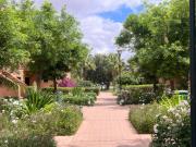 Top Marrakesz