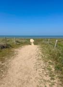 Top Notre-Dame-de-Monts