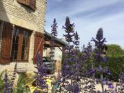 Gîte champenois les voisins