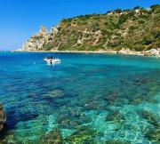 Top Capo Vaticano